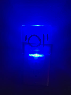 Led night light personalized great gift, school, camp